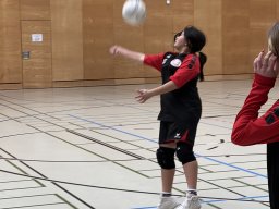 Faustball Bezirksmeisterschaften 2023